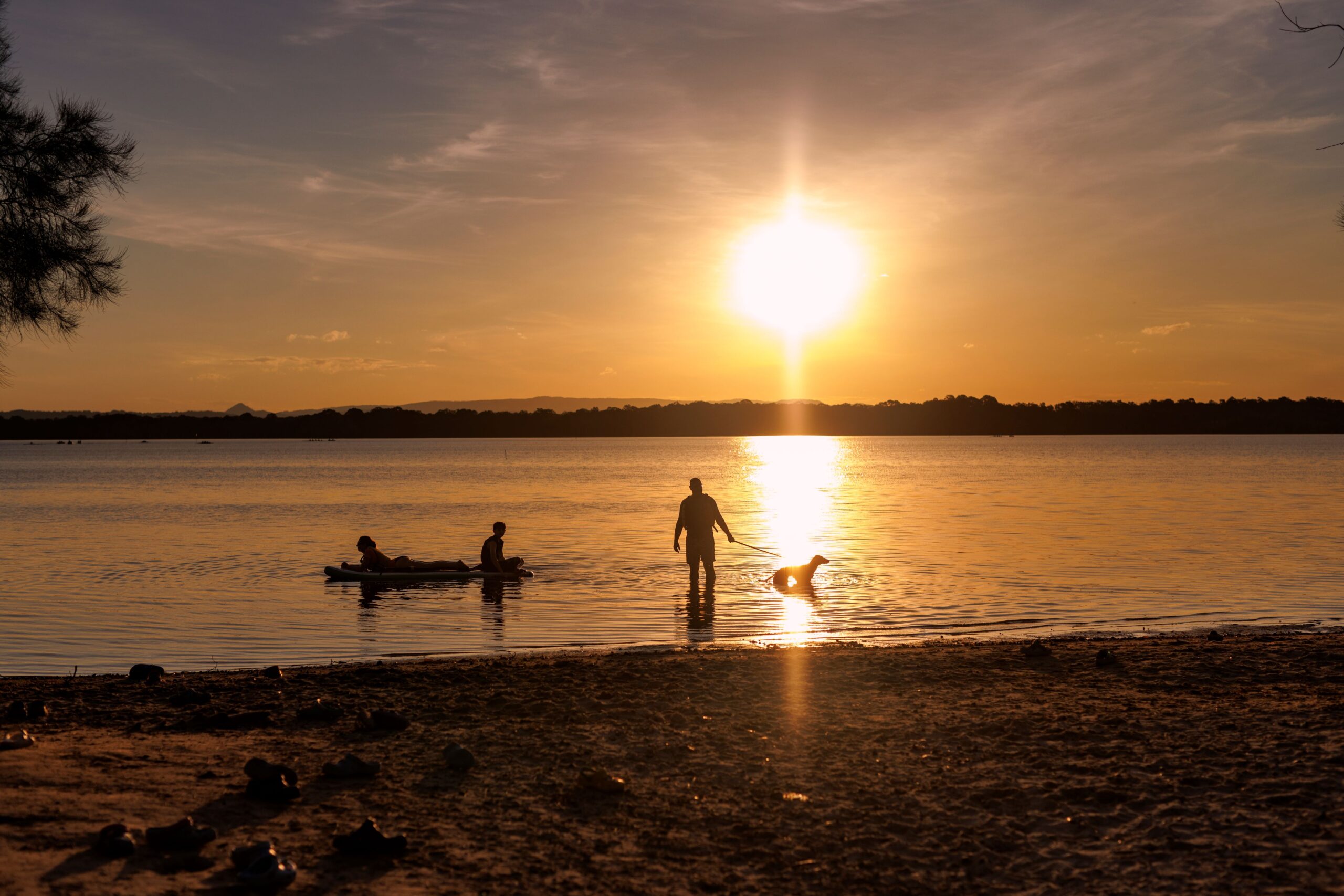 Family and Dog playing on SUP overlooking lake at Sunset